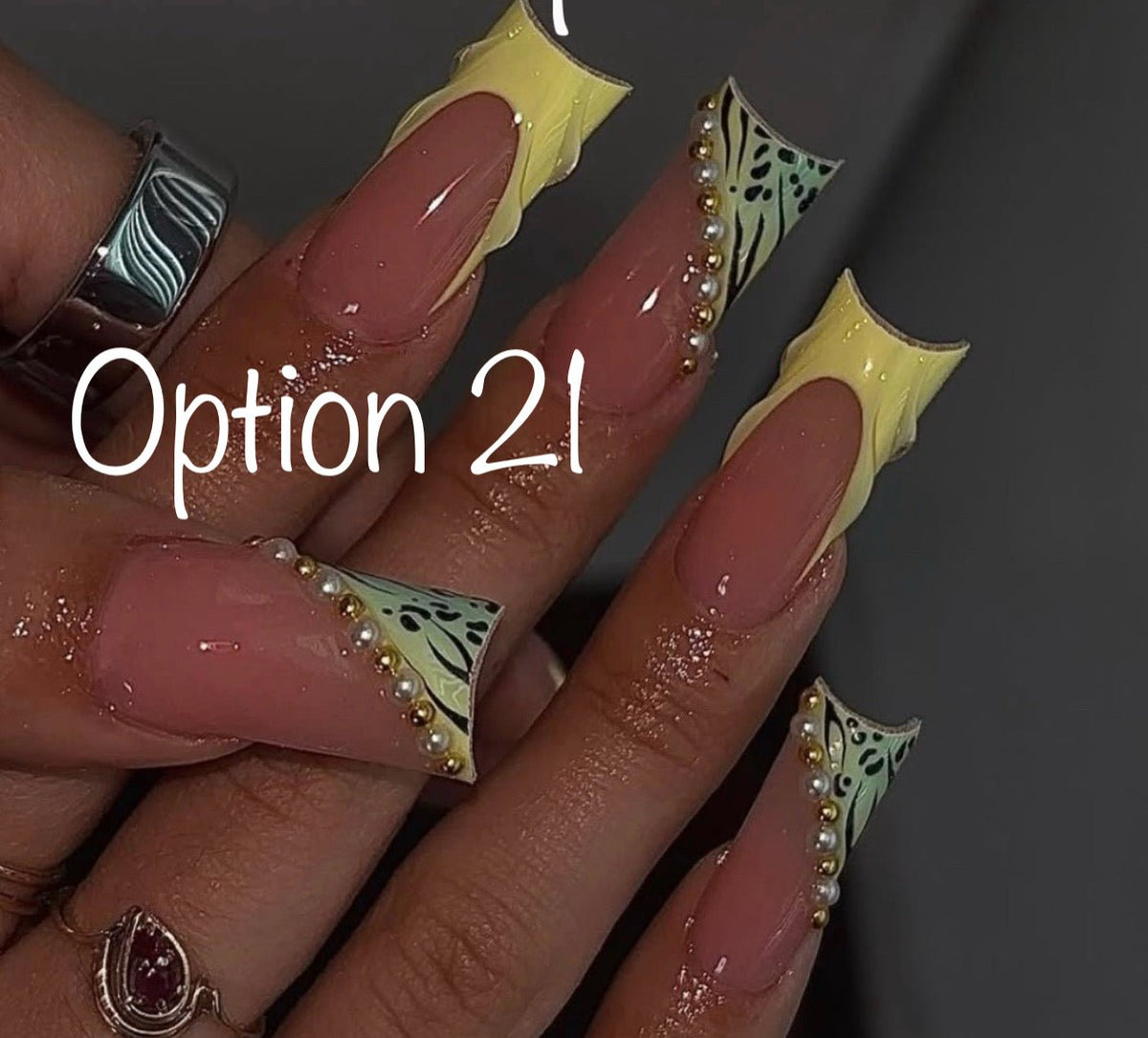 Option 21 - Paws By Picasso