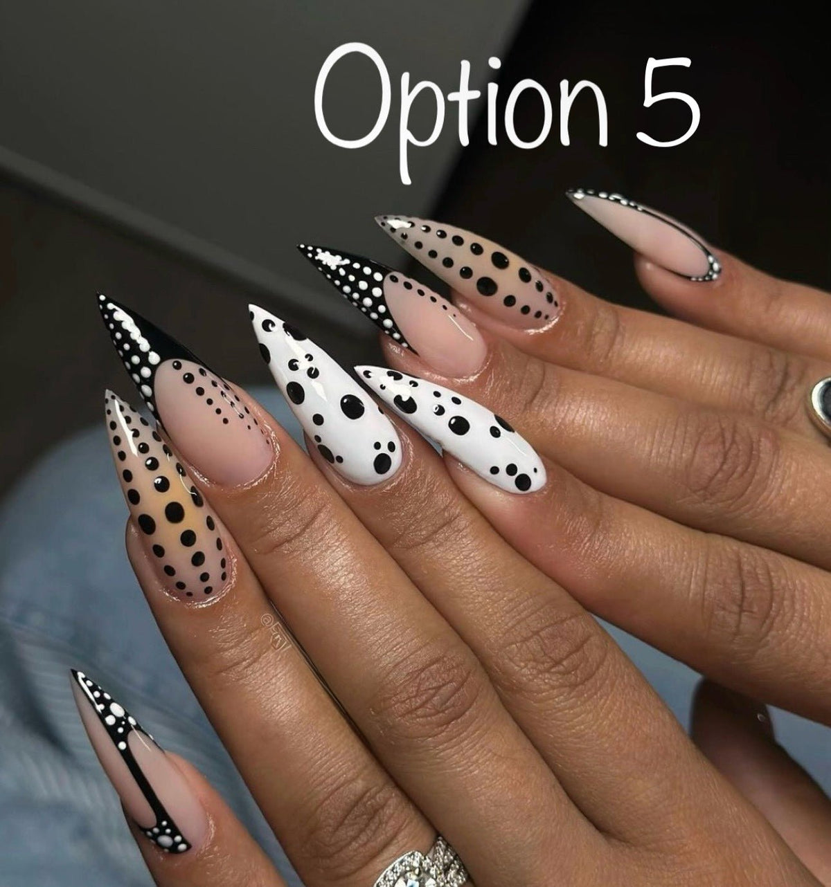 Option 5 - Paws By Picasso