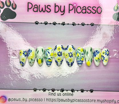 Costa Amalfitana - Paws By Picasso Costa Amalfitana