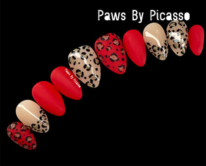 Scarlet Blaze - Paws By Picasso Scarlet Blaze