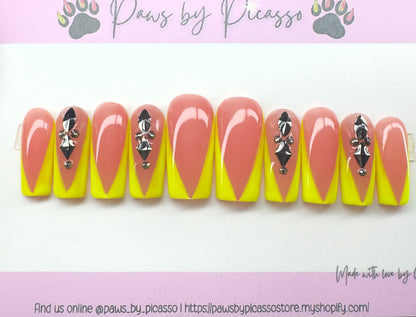 Ready to ship (Acrylic) Set - Paws By Picasso Ready to ship (Acrylic) Set