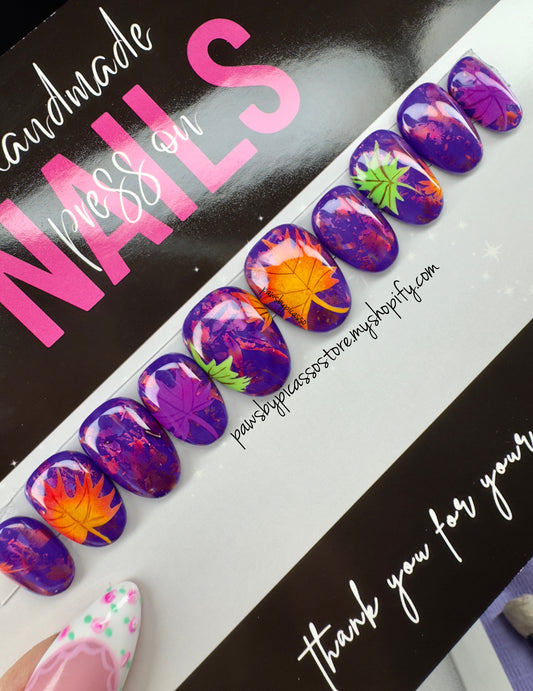 Berry Cozy - Paws By Picasso Berry Cozy