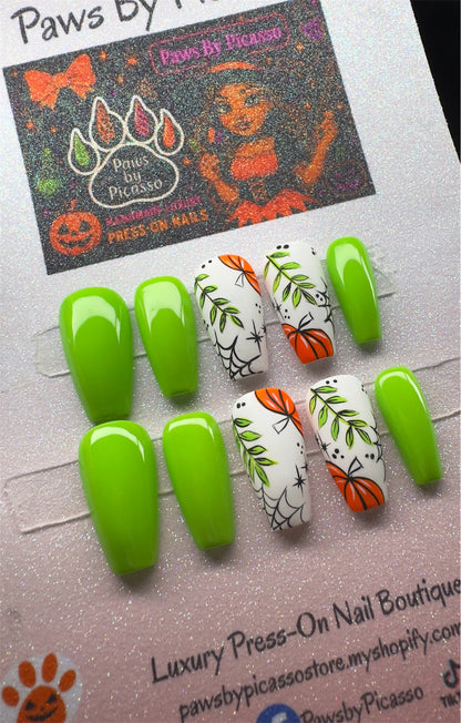 Webbed Pumpkin Patch - Paws By Picasso Webbed Pumpkin Patch