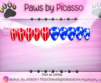 Patriotic American Flag nails - Paws By Picasso Patriotic American Flag nails