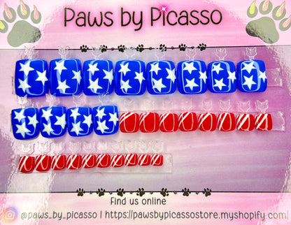 Patriotic Toenails - Paws By Picasso Patriotic Toenails