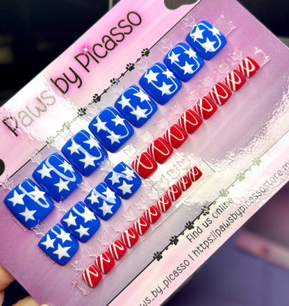 Patriotic Toenails - Paws By Picasso Patriotic Toenails