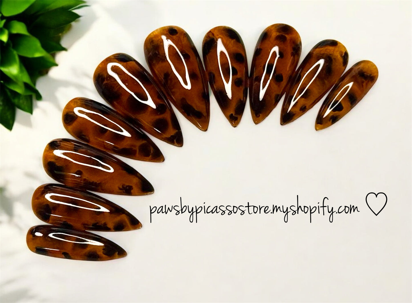 Tortoise Shell Obsession - Paws By Picasso Tortoise Shell Obsession