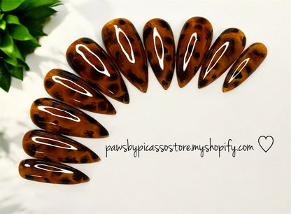 Tortoise Shell Obsession - Paws By Picasso Tortoise Shell Obsession