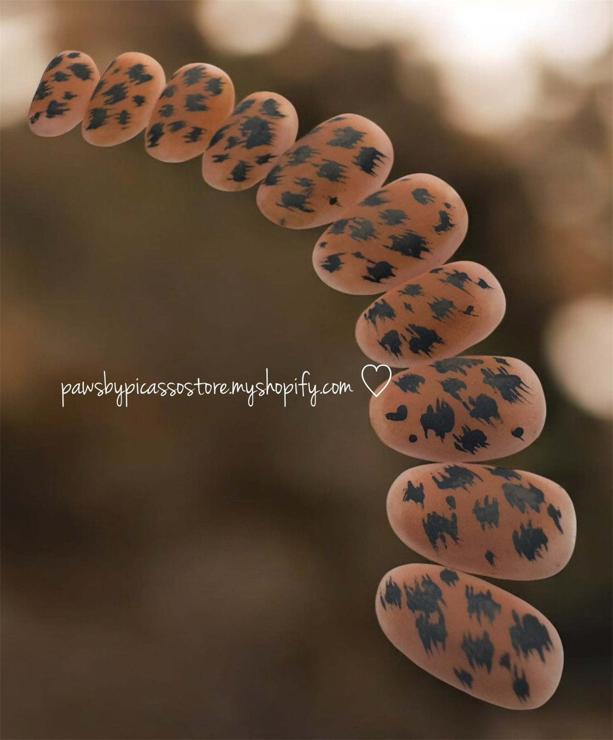 Chocolate Cheetah - Paws By Picasso