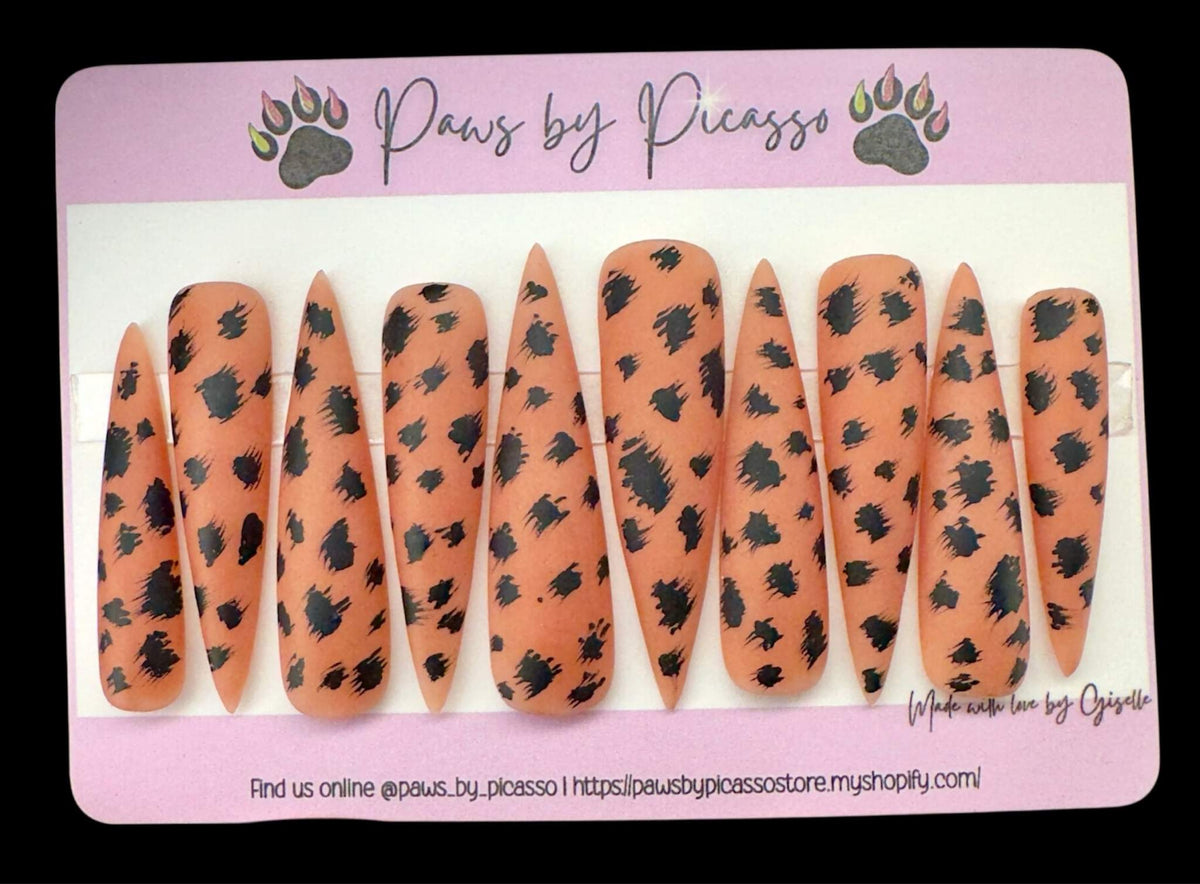 Chocolate Cheetah - Paws By Picasso