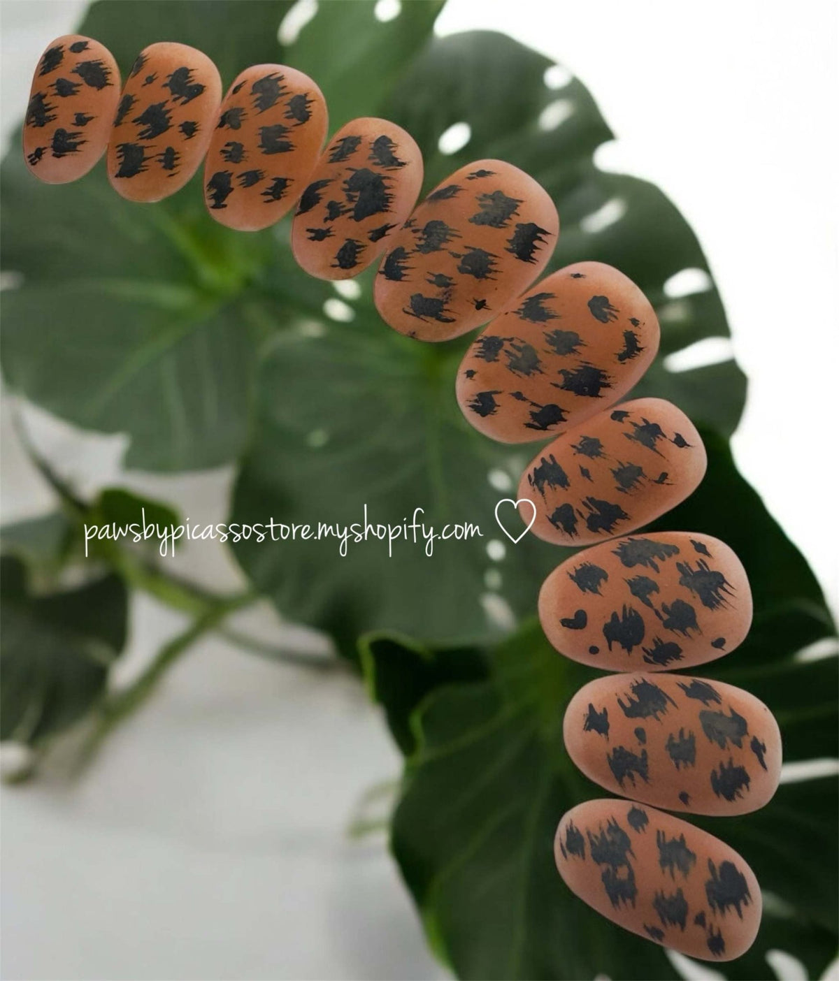 Chocolate Cheetah - Paws By Picasso