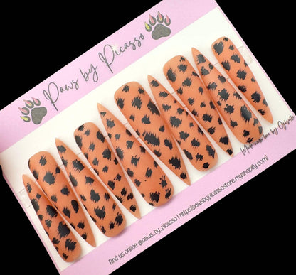 Chocolate Cheetah - Paws By Picasso