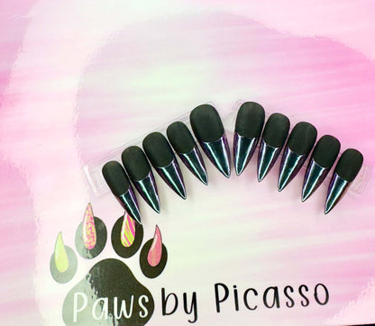 Clawsy Witch - Paws By Picasso