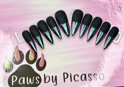 Clawsy Witch - Paws By Picasso