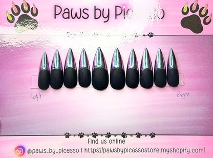 Clawsy Witch - Paws By Picasso
