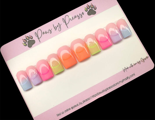 Kaleidoscope - Paws By Picasso