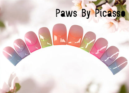Kaleidoscope - Paws By Picasso