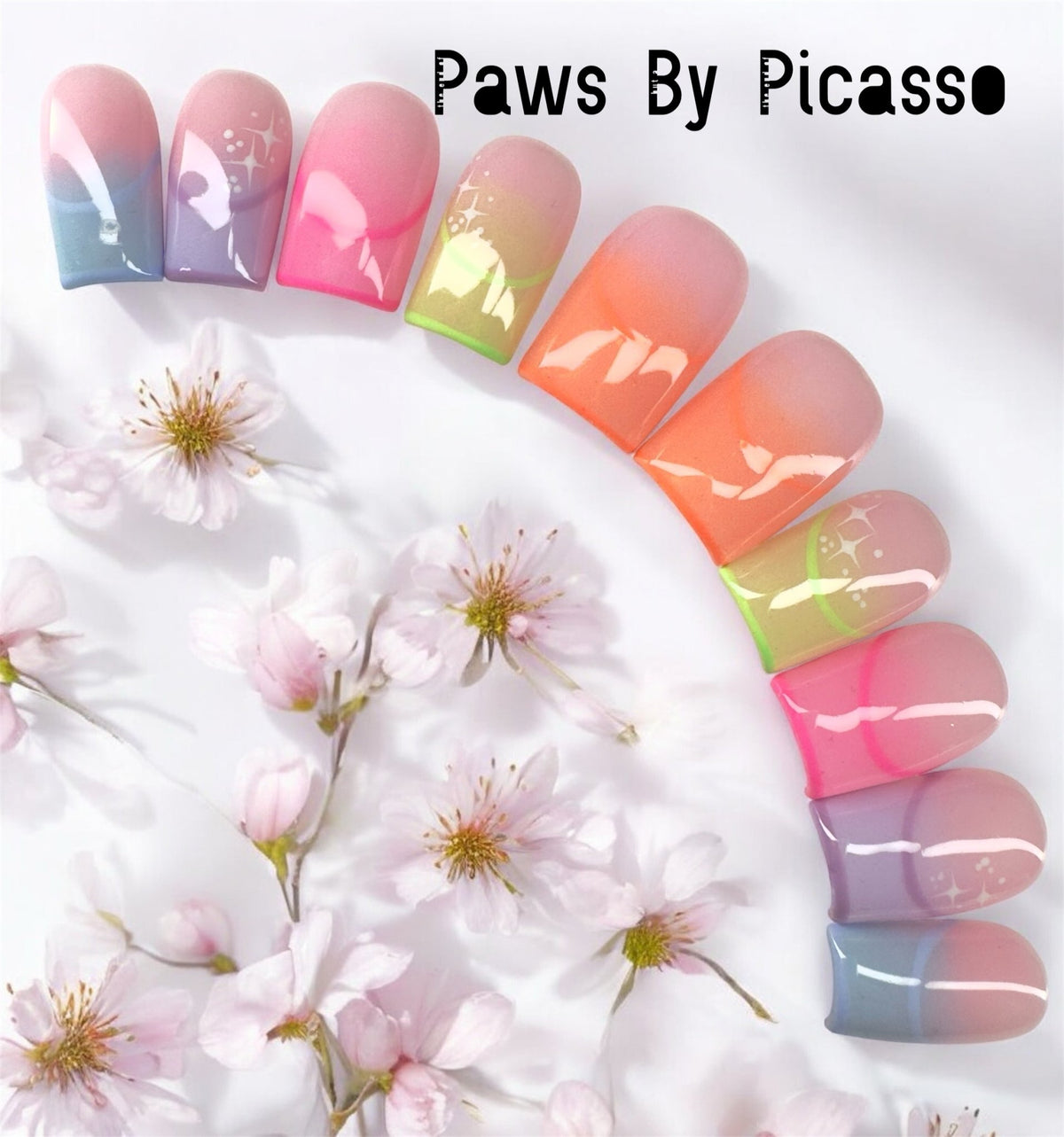 Kaleidoscope - Paws By Picasso