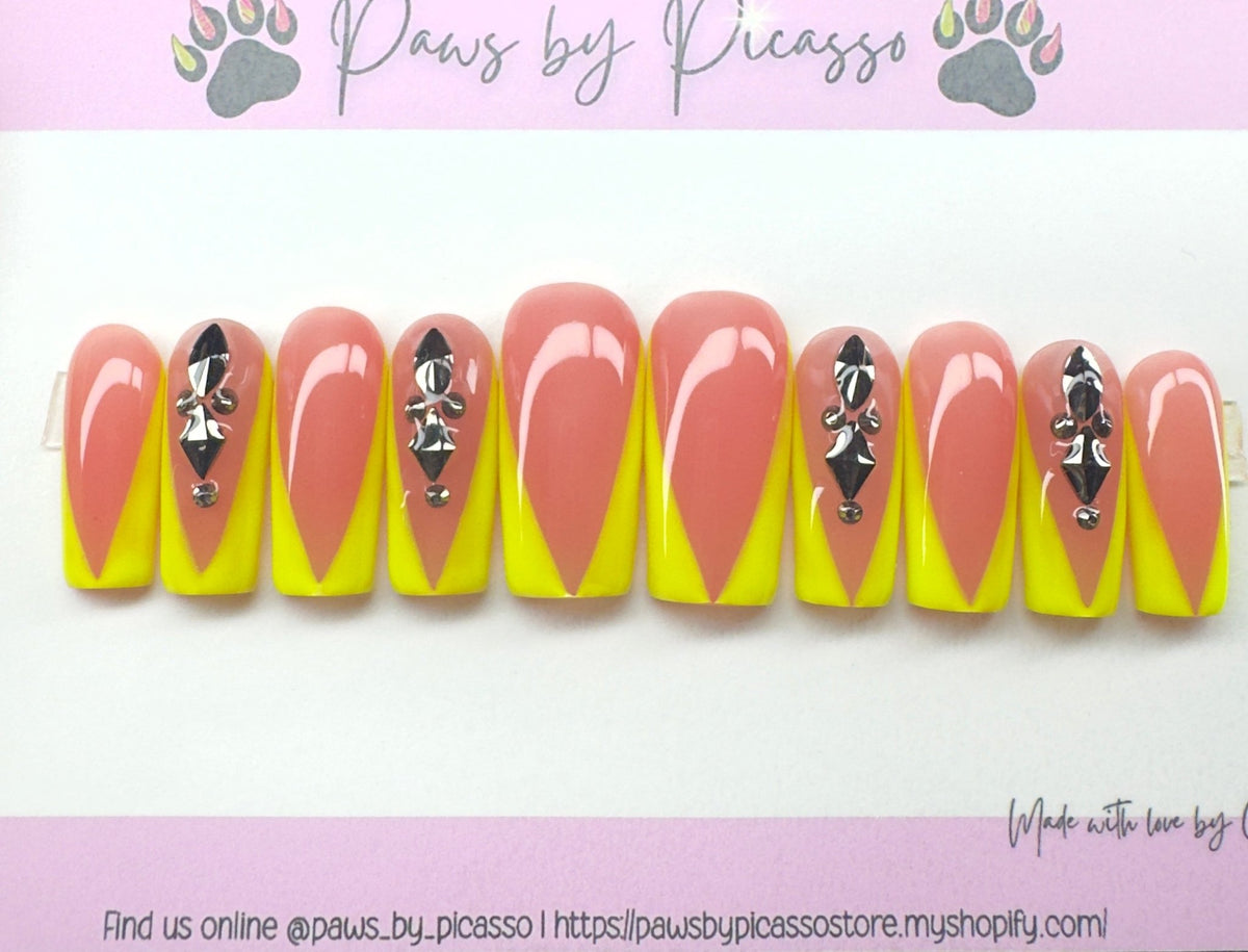 Ready to ship (Acrylic) Set - Paws By Picasso