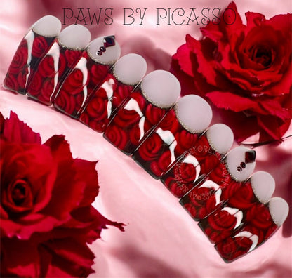 Ready to Ship Curvy nails - Paws By Picasso
