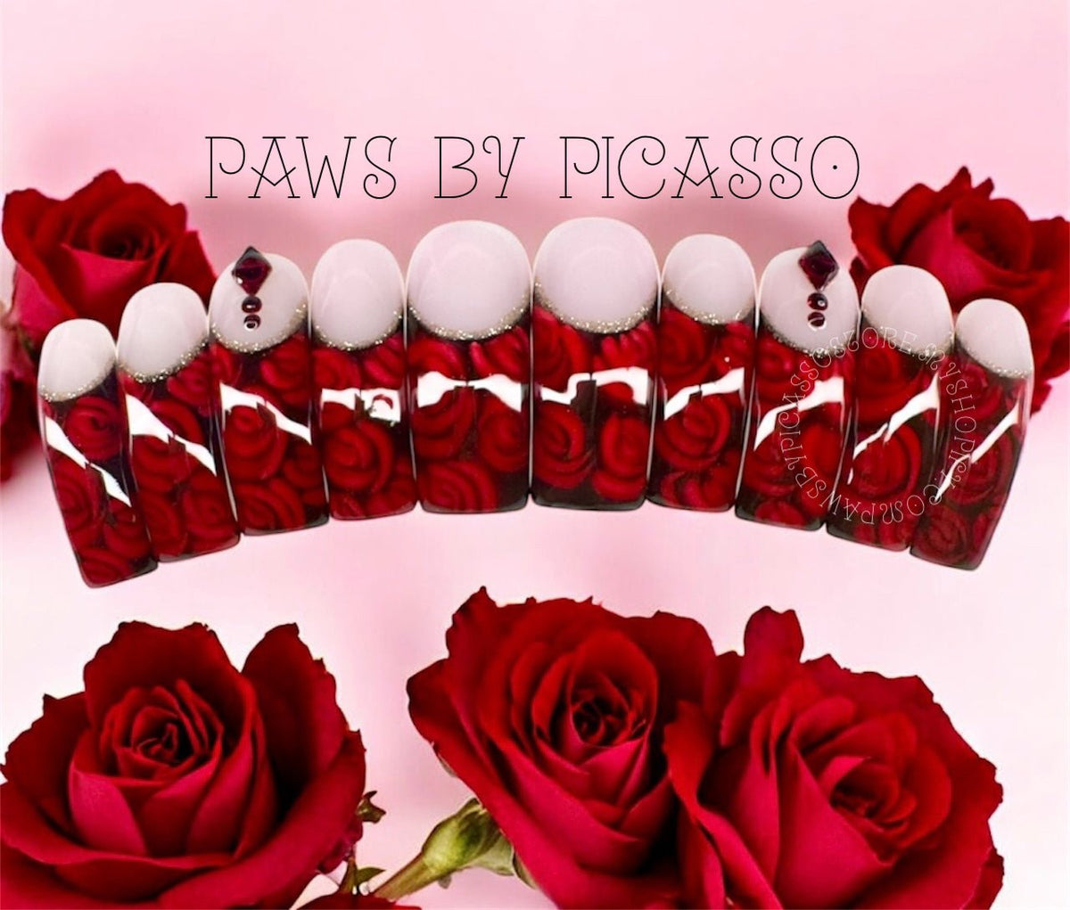 Ready to Ship Curvy nails - Paws By Picasso