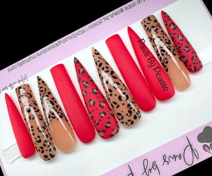 Scarlet Blaze - Paws By Picasso