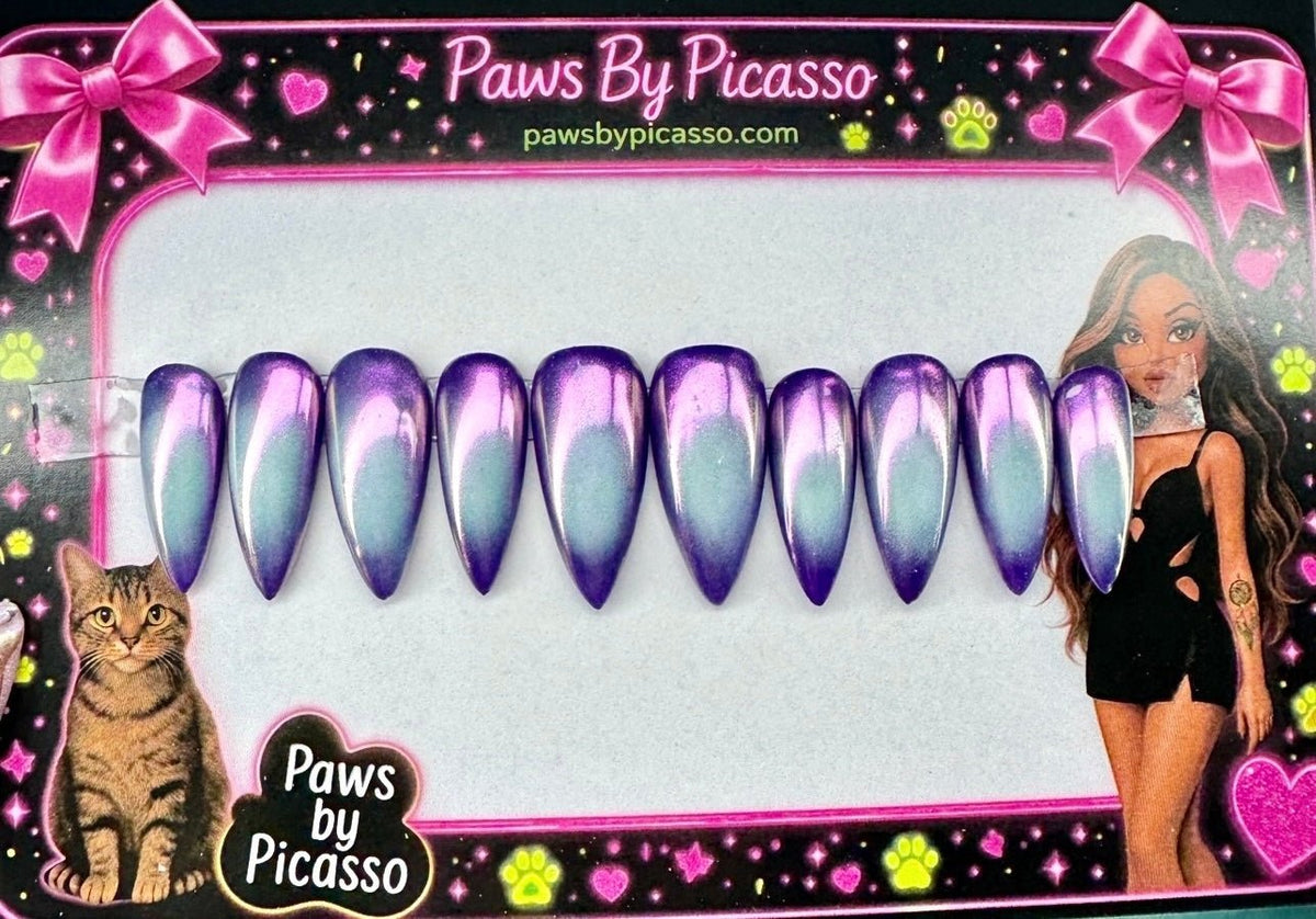 Supernova - Paws By Picasso