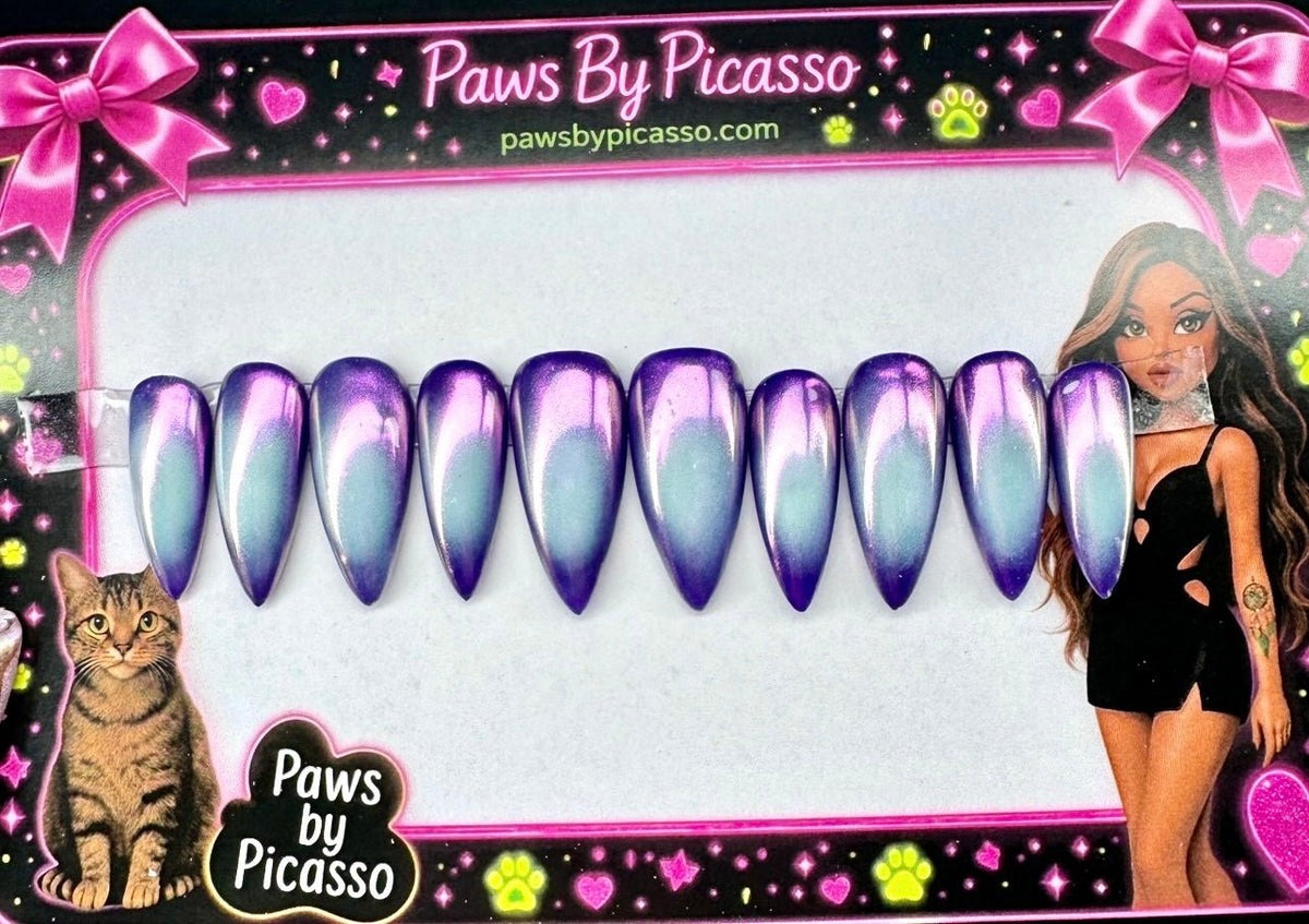 Supernova - Paws By Picasso