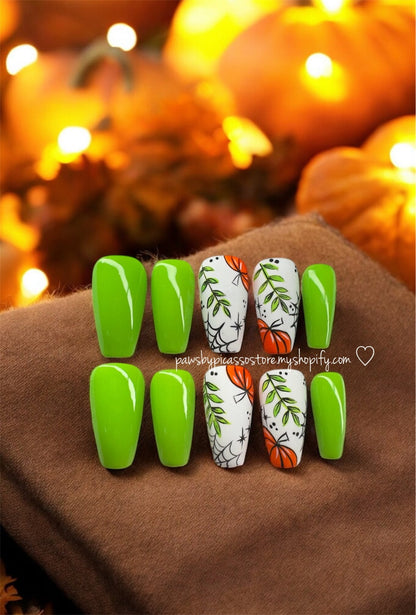 Webbed Pumpkin Patch - Paws By Picasso