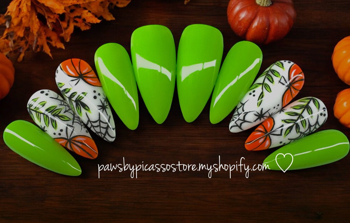 Webbed Pumpkin Patch - Paws By Picasso