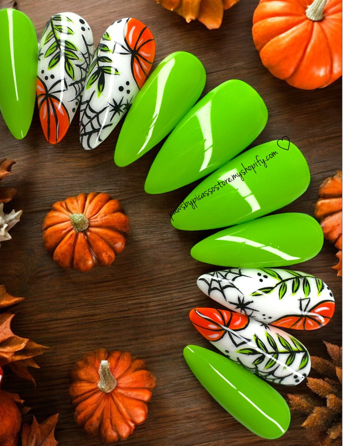 Webbed Pumpkin Patch - Paws By Picasso