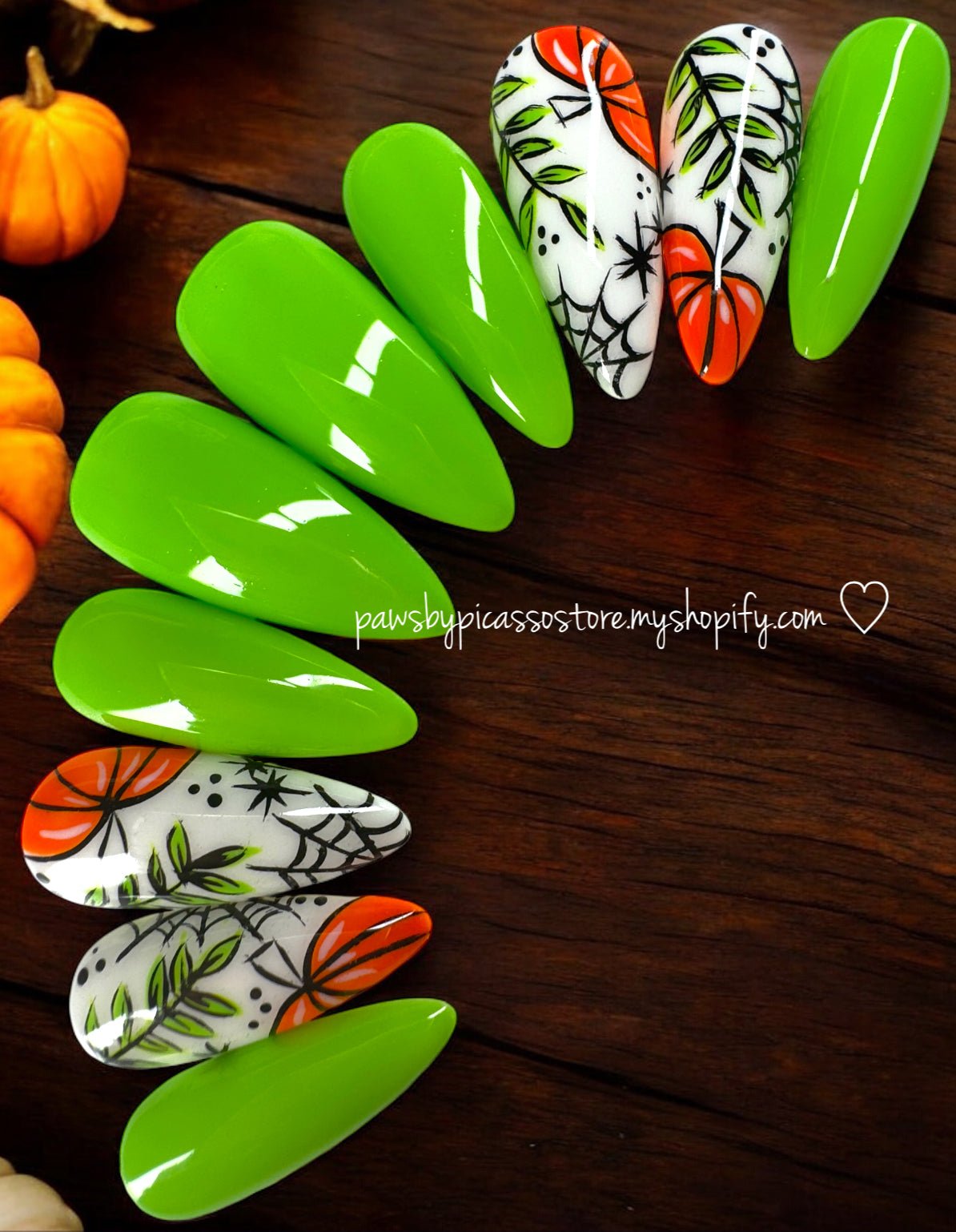 Webbed Pumpkin Patch - Paws By Picasso